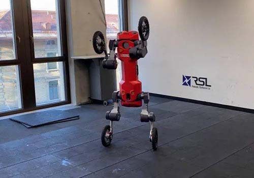 يمكن للروبوت رباعي الأرجل الذي طورته Swiss-Mile الوقوف ، والتدحرج ، والتسليم بشكل مستقل
