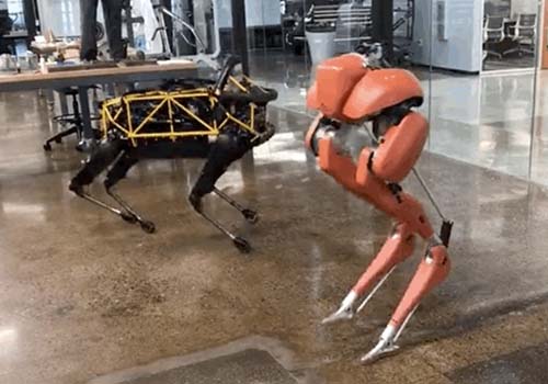 صدمت! حطم الروبوت ذو قدمين ، كاسي ، الرقم القياسي العالمي لموسوعة غينيس لمسافة 100 متر في 24.73 ثانية
