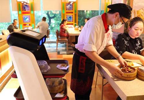لماذا يحظى الندل الآلي بشعبية كبيرة في المطعم؟
