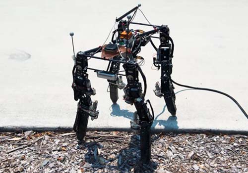 تطور الروبوتات الأربعة هو فقط للتكيف مع التضاريس المعقدة
